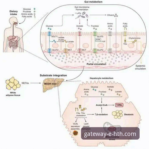 HTH华体会官网入口常见问题 解析HTH官网入口:用户最关心的5个核心问题与深度解答
